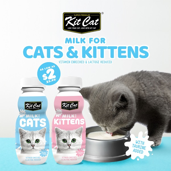 Kitcat Milk