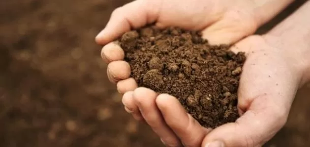 خصائص التربة المناسبة لزراعة النعناع وأهمية دراستها قبل الزراعة