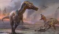 سبب انقراض الديناصورات وتأثيره على النظام البيئي