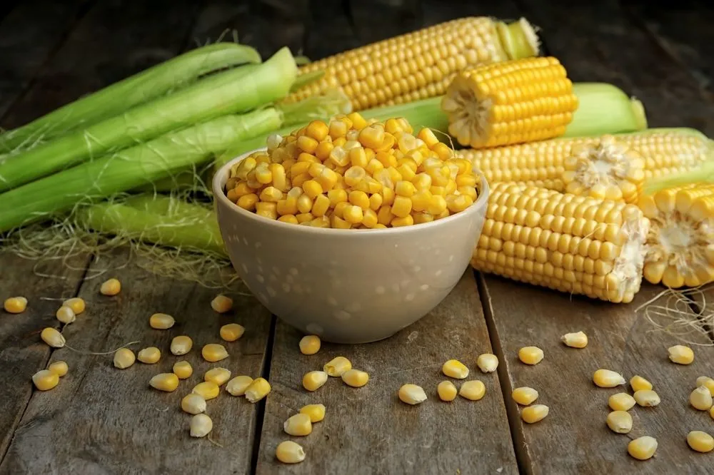 الذرة (الذرة الحلوة والذرة الصفراء) (corn)