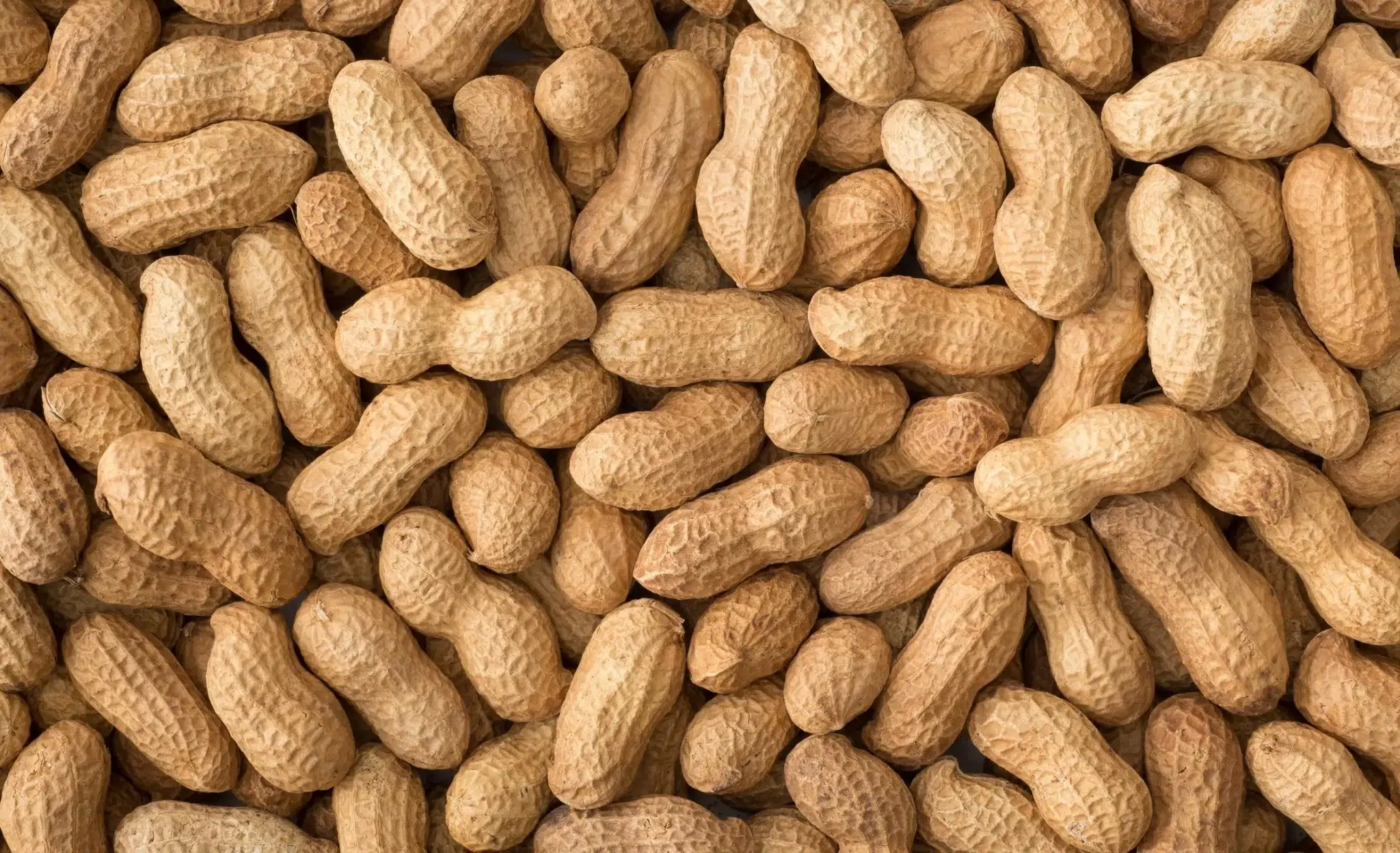 الفول السوداني (Peanuts)