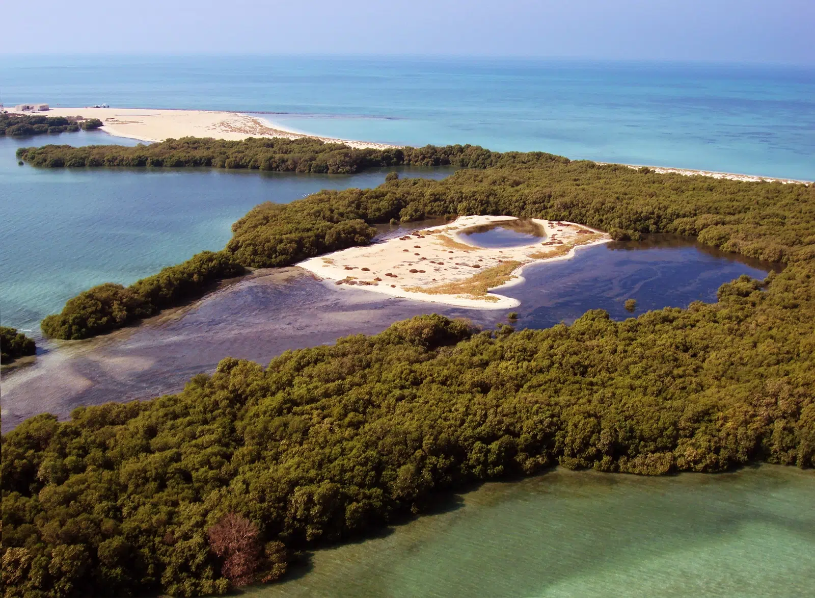 محمية جزيرة بوطينة (Bu Tinah Island Marine Protected Area)