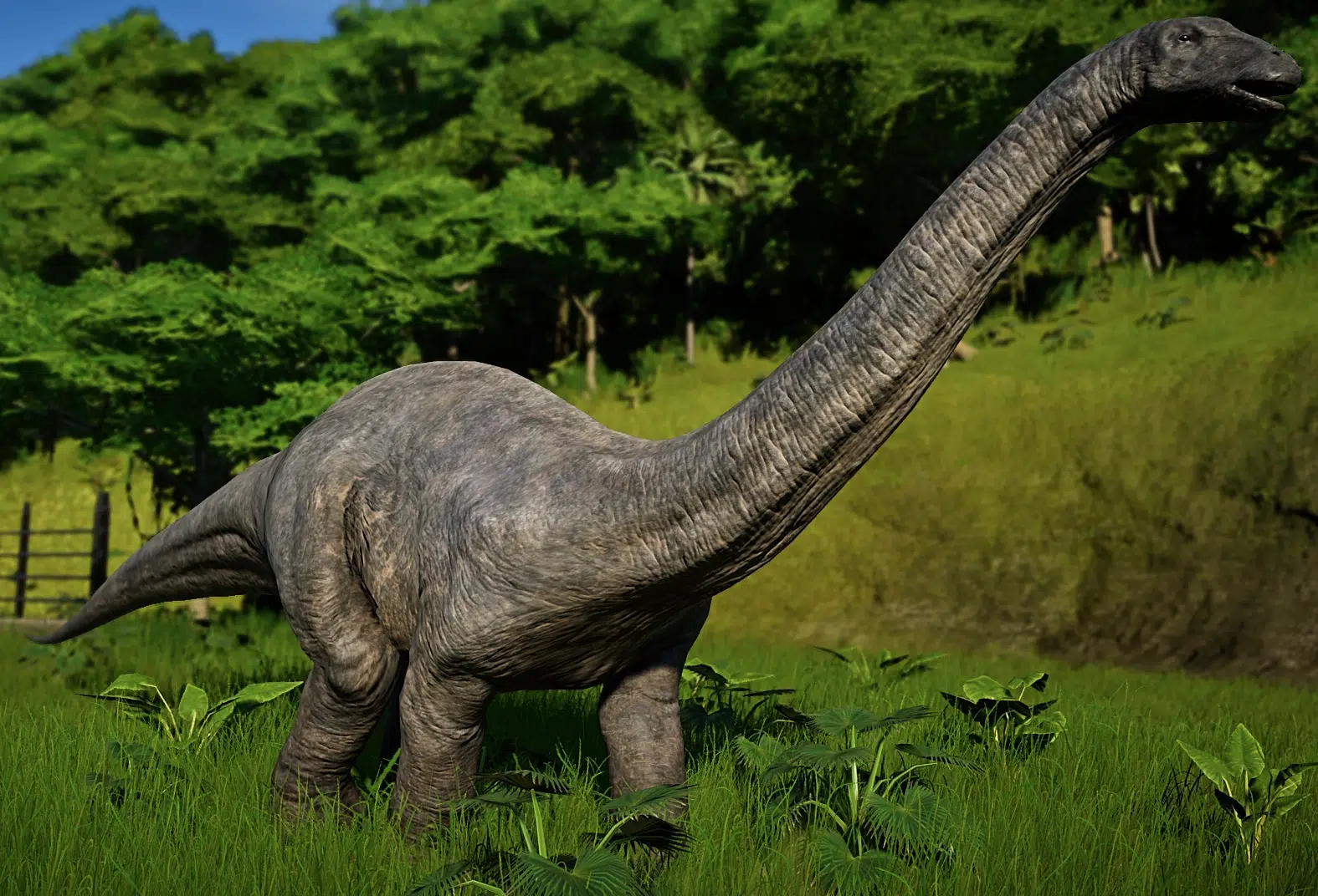 الأباتوصورس (Apatosaurus)
