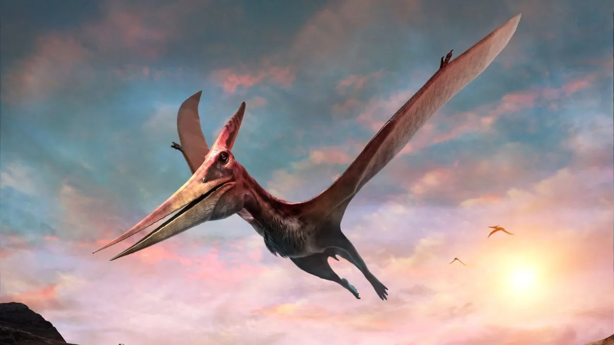 البتاغوصورس (Pteranodon)