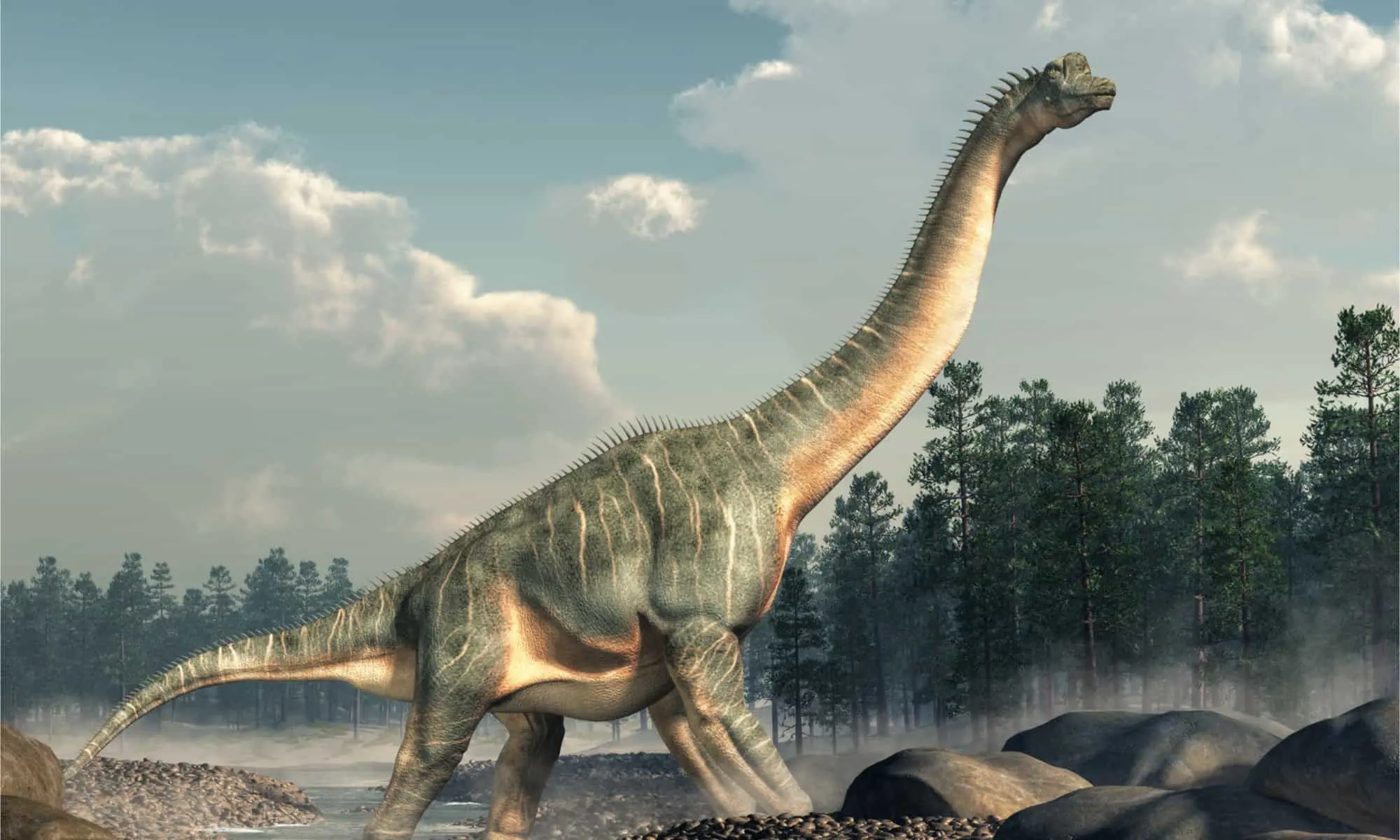 البراشيوصورس (Brachiosaurus)
