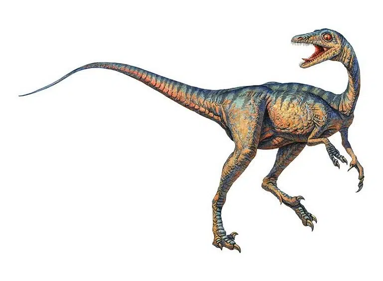 التروودون (Troodon)