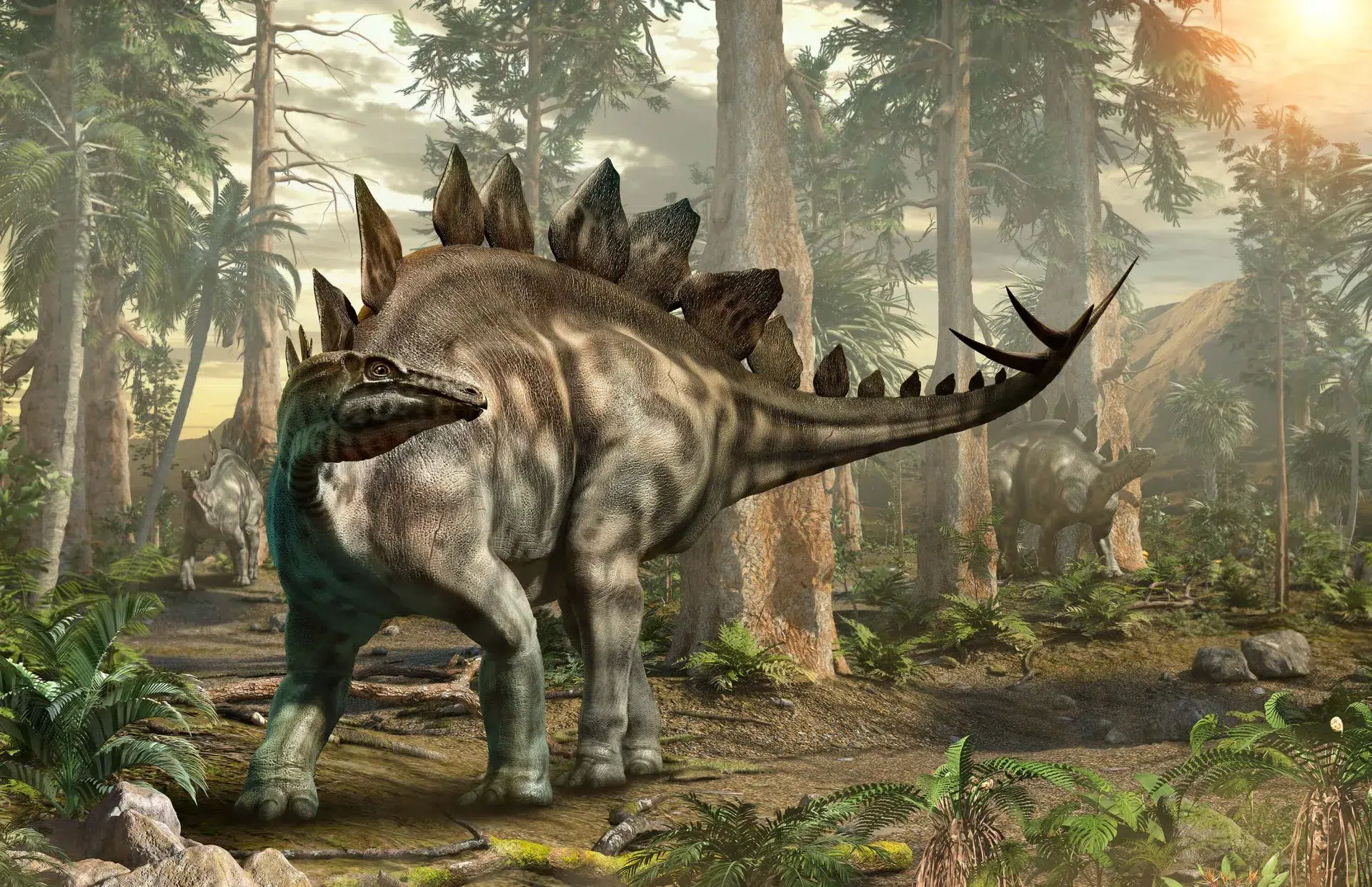 الستيغوصورس (Stegosaurus)