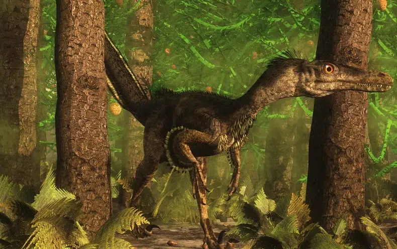 الفيلوسيرابتور (Velociraptor)