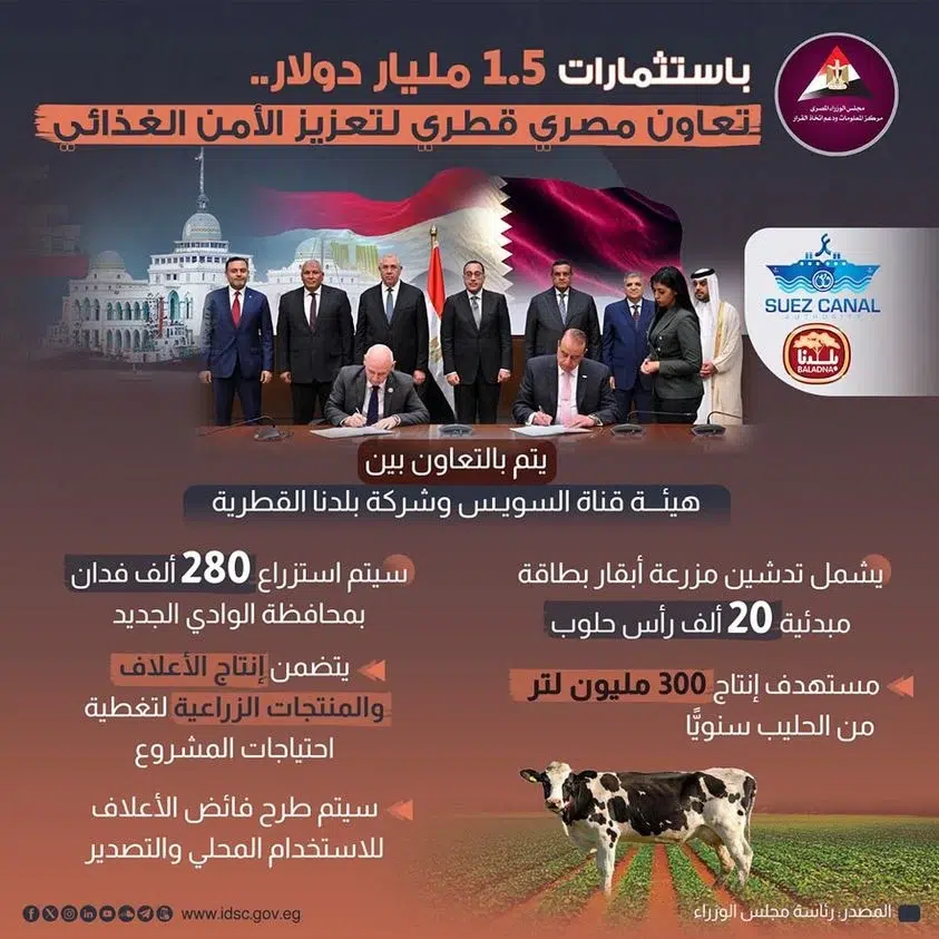 مصر وقطر يدشنان شراكة في مزرعة أبقار بدايةً من 20 ألف بقرة