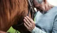 هل الحصان يشعر بصاحبه.. وما الأبعاد النفسية للتفاعل بينهما